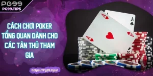 Cách Chơi Poker Tổng Quan Dành Cho Các Tân Thủ Tham Gia