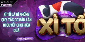 Xì Tố Là Gì? Những Quy Tắc Cơ Bản Lẫn Bí Quyết Chơi Hiệu Quả